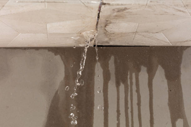 Professional Water Damage Repair technician working in Ellinger, TX